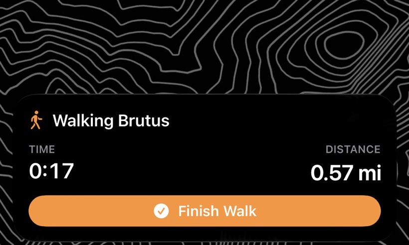 The Lock Screen mid-walk: Walking Brutus, 17 minutes in, 0.57 miles, and a Finish Walk button.